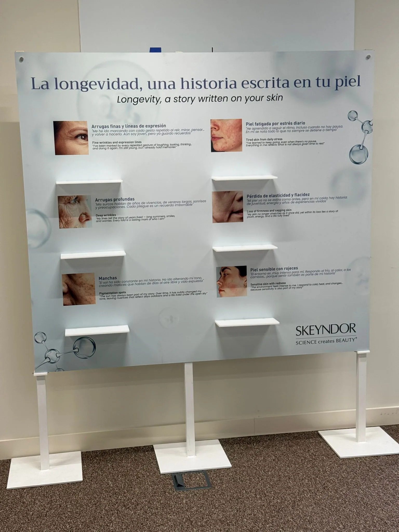 Panel didáctico de Skeyndor sobre los signos del envejecimiento cutáneo - longevidad de la piel